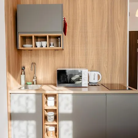 Διαμέρισμα Elegant Very Berry In Center By Renters Πόζναν