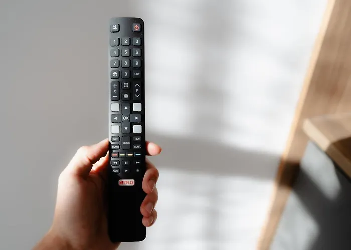 Elegant Very Berry In Center By Renters Apartment *