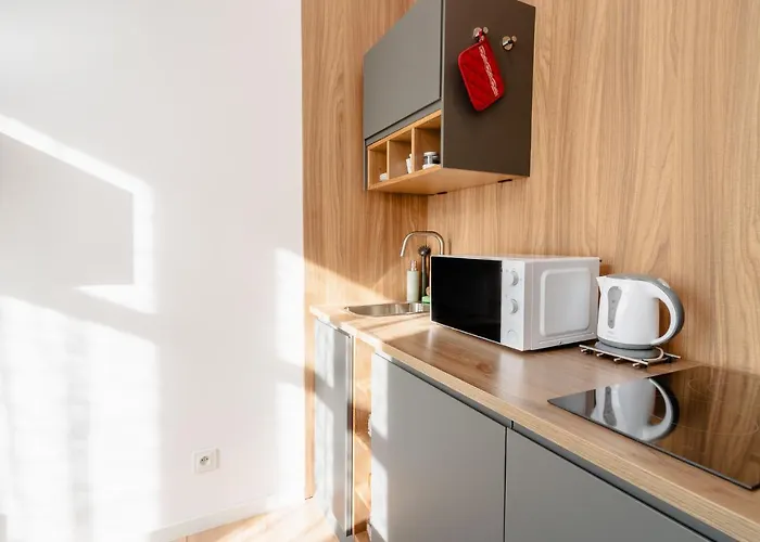 Apartment Elegant Very Berry In Center By Renters Posen