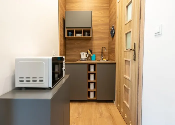 Apartment Elegant Very Berry In Center By Renters *