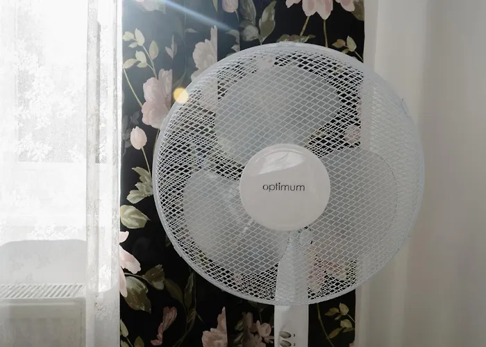 Apartment Elegant Very Berry In Center By Renters Posen