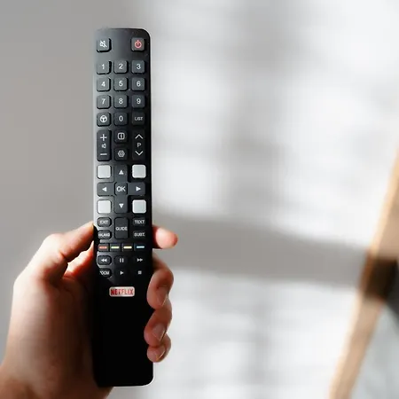 Elegant Very Berry In Center By Renters Apartment *