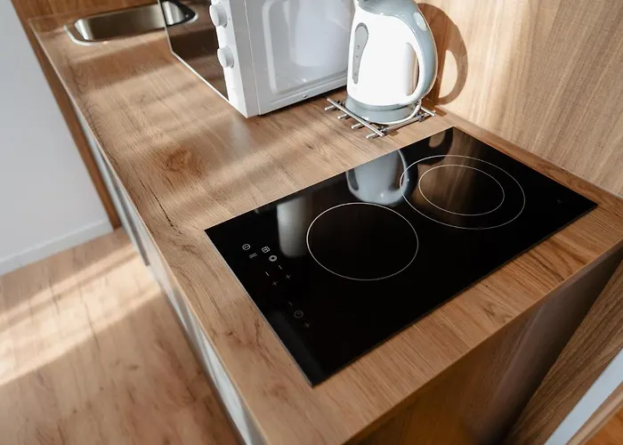 Apartment Elegant Very Berry In Center By Renters Poznan