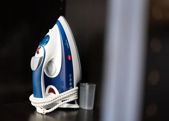 Elegant Very Berry In Center By Renters Apartment