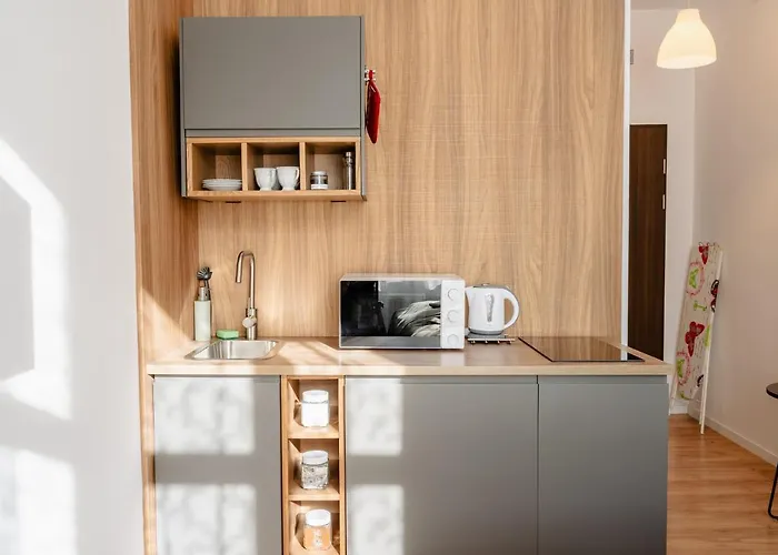 Apartment Elegant Very Berry In Center By Renters Poznan