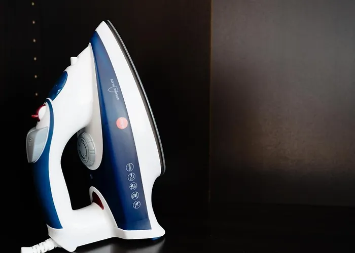 Elegant Very Berry In Center By Renters Apartment